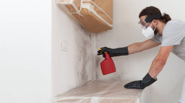 Professional Bathroom Mold Removal technician working in Bellevue, IL