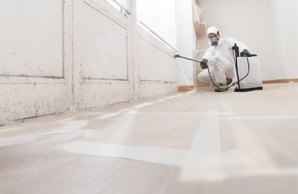 24/7 Emergency Bathroom Mold Removal experts in Bellevue, IL