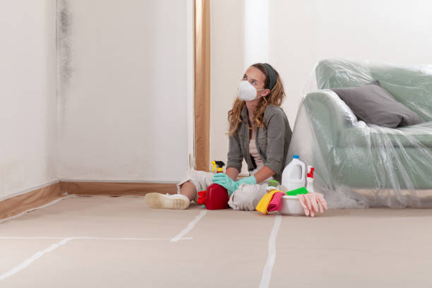 Reliable Bathroom Mold Removal contractor in Bellevue, IL by WQB Mold Removal